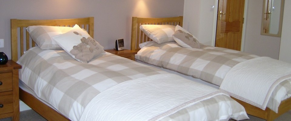Melin Pandy bed and breakfast twin bedroom